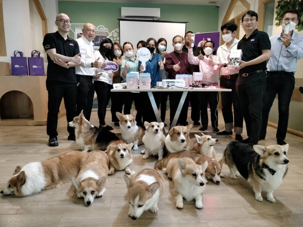 寵物保健講座_幫助毛孩家長了解寵物居家照護重點