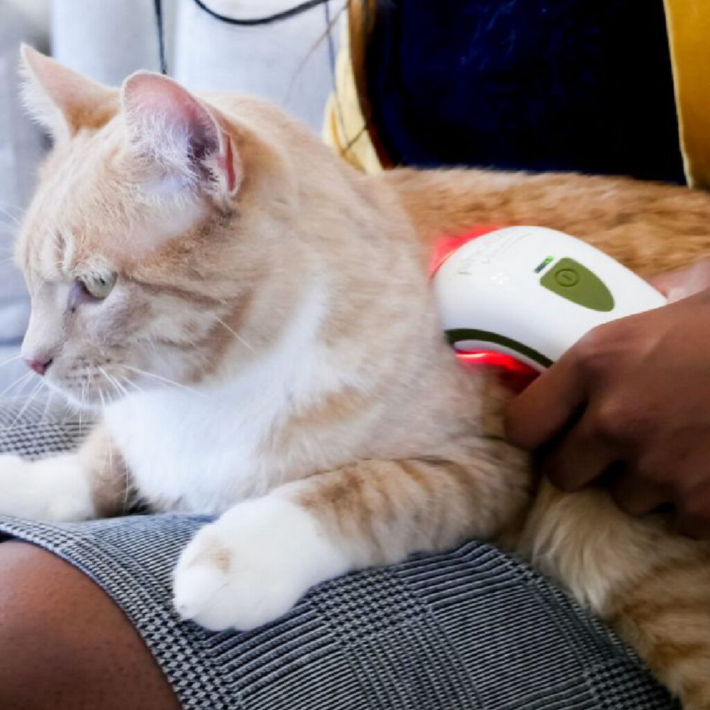 Photizo Vetcare_針對貓咪關節做保健