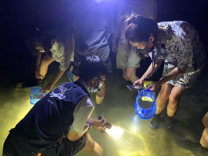 陸蟹降海釋幼夏夜高峰期 屏東海生館「蟹逅」深入觀察體驗