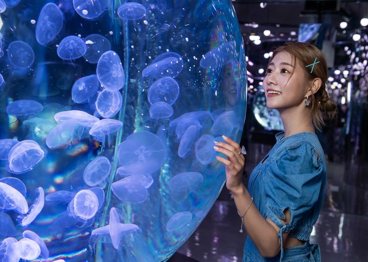 約會首選!「只要有冷氣,女友不生氣」水族館賞「銀河七夕祭」