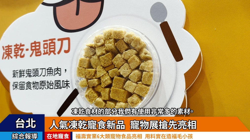 (圖/翻攝自YouTube)
