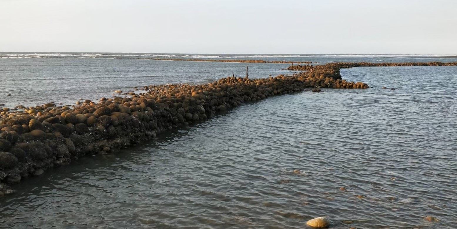 坡頭村石滬海岸親水空間改善工程 未來串聯自行車道更好玩