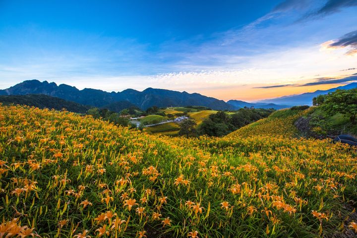 暢玩花東/台灣觀巴兩人同行1人免費 加碼贈台灣好行套票
