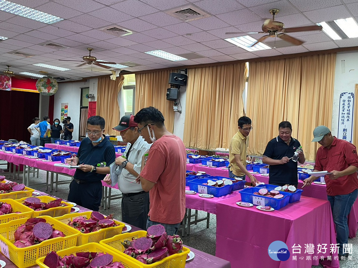 彰化縣優質紅龍果評鑑 提昇紅龍果市場競爭力行銷彰化優質農產