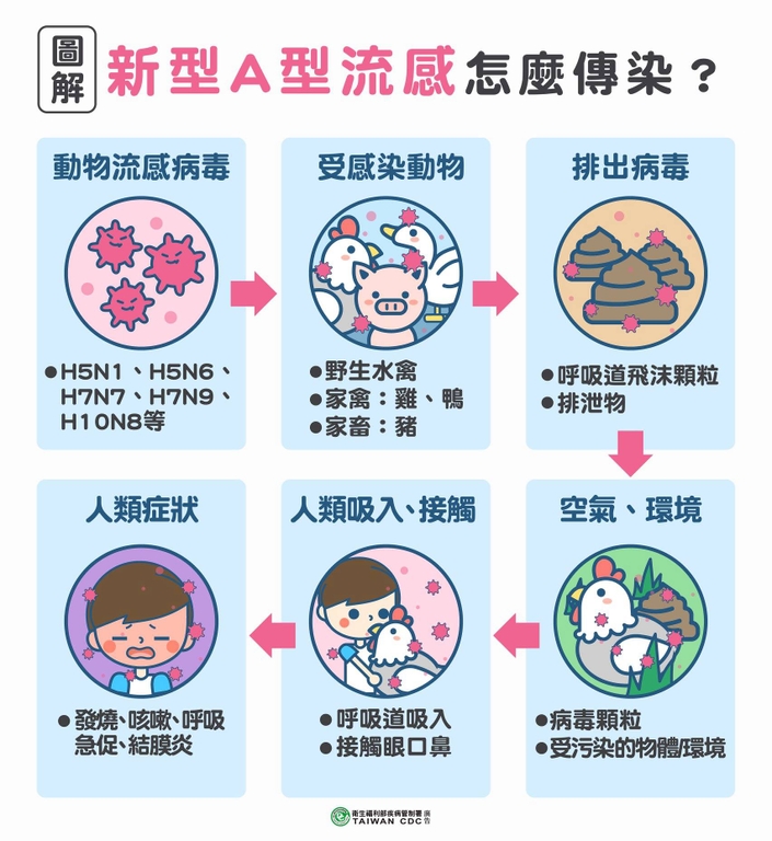 什麼是「新型A型流感」報你知（圖：衛福部疾管署）
