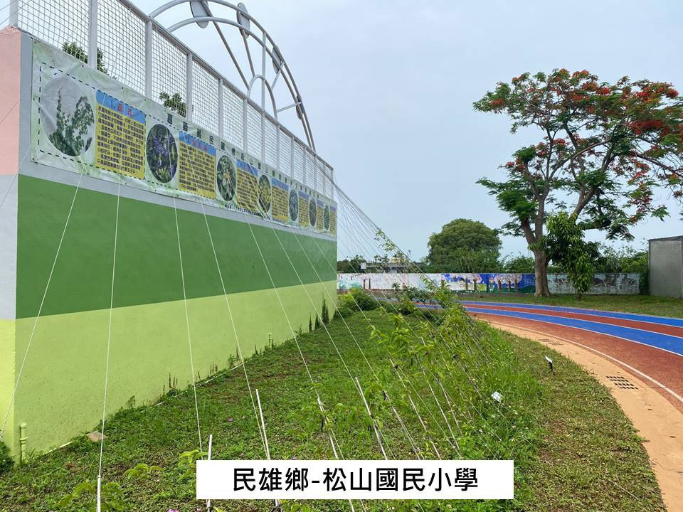 民雄鄉松山國小設置「淨化空氣小綠牆」/嘉義縣府提供