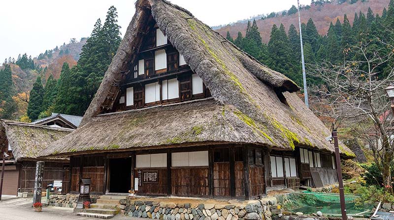 圖/大都會旅遊