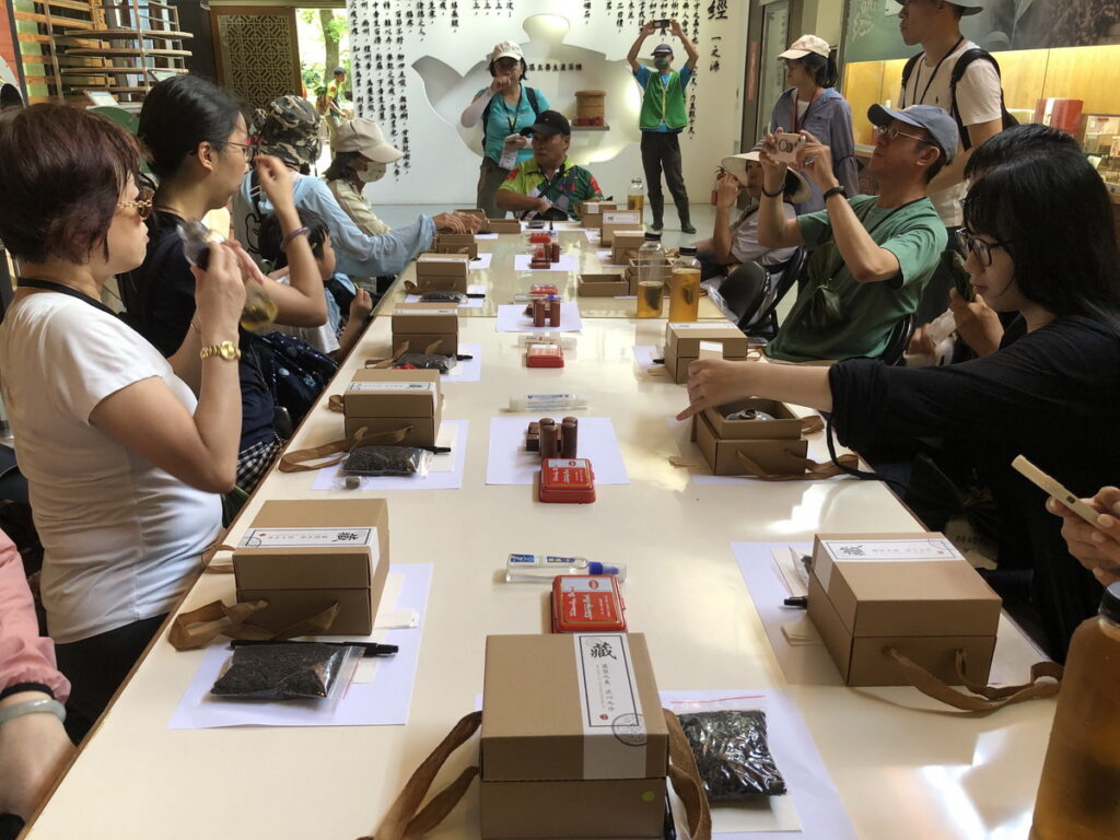 封茶體驗