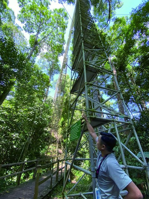 雙國旅遊/汶航銜接馬來西亞、汶萊 探索多元玩法
