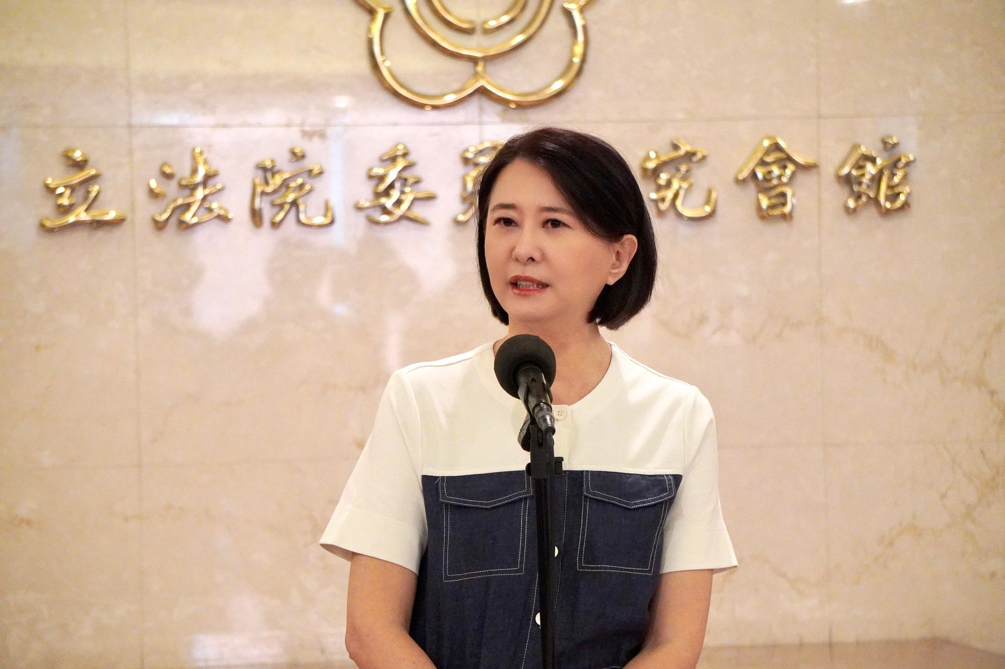 國民黨立委王鴻薇。翻攝王鴻薇臉書