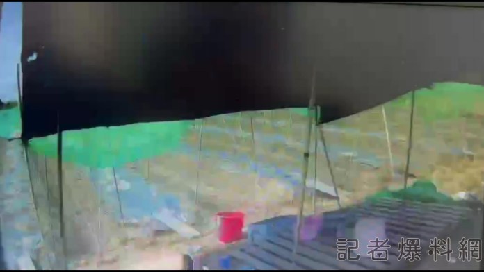 39歲嘉義民雄青農 疑熱中暑死亡 死因曝 65 AEC5E8A3 C70B 4D13 939D 35CAD7334536 | 社會 社會 記者爆料網
