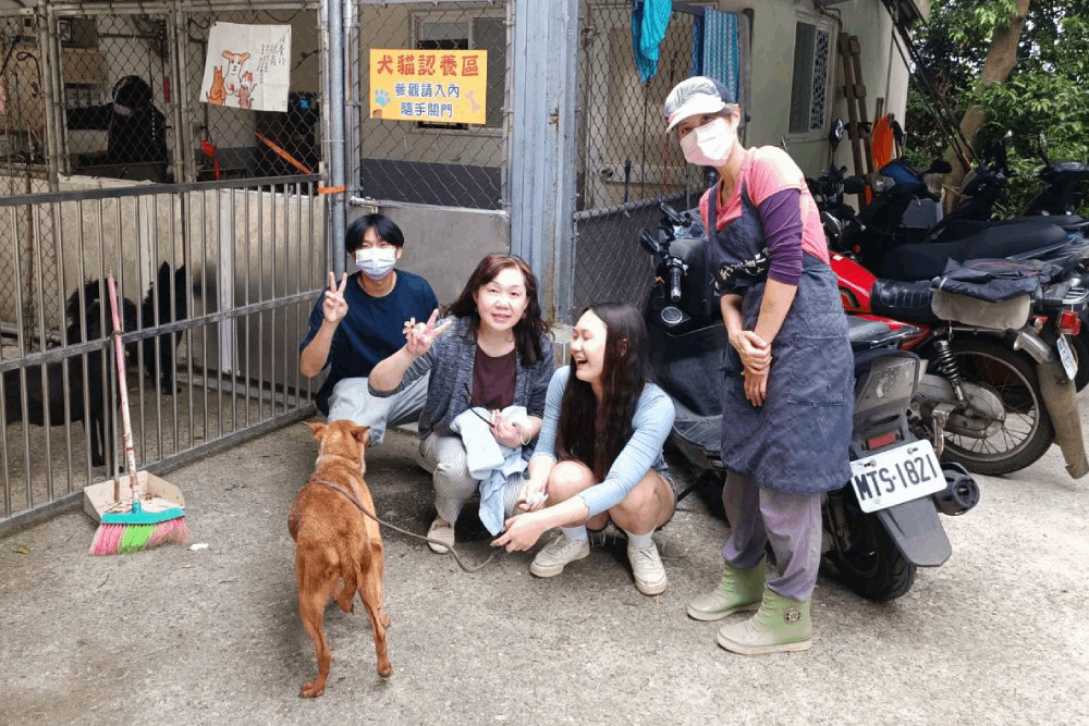 給彼此再一次幸福機會!認養成犬好處多 可享寵物保險補助 262 給彼此再一次幸福機會!認養成犬好處多 可享寵物保險補助 261