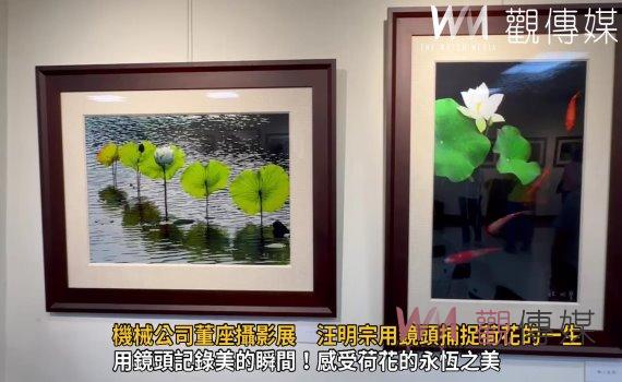 影/「雲水荷盼」機械公司董座攝影展 汪明宗用鏡頭捕捉荷花的一生