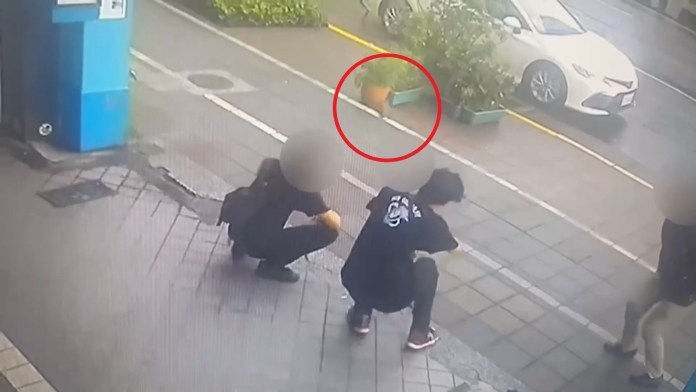 (投石片)書是讀到哪去?白俄男博士認態度不佳理論攜磚丟擲店員 74 112 7 | 社會 社會 記者爆料網
