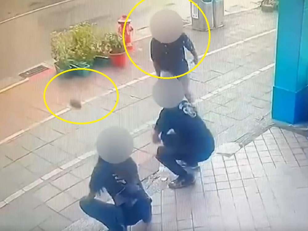 拋磚惹怒店員 醉男突然投擲磚頭爆追逐口角 240 拋磚惹怒店員 醉男突然投擲磚頭爆追逐口角 239