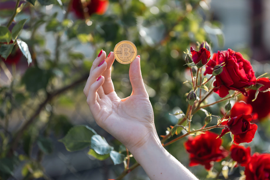 FSB 提制定全球加密貨幣監管框架!一分鐘看懂一份說明兩份指引
