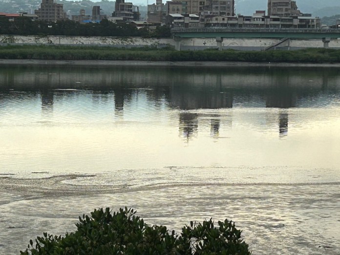 快訊/新北重陽橋下飄浮屍 男肢體腫脹明顯死亡 71 511 10 | 社會 社會 記者爆料網