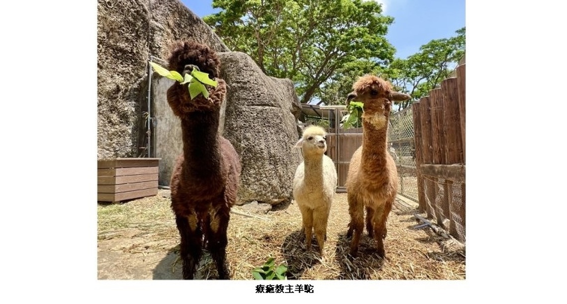 壽山動物園動物明星票選7/22起跑 選出你心目中的「雄讚」