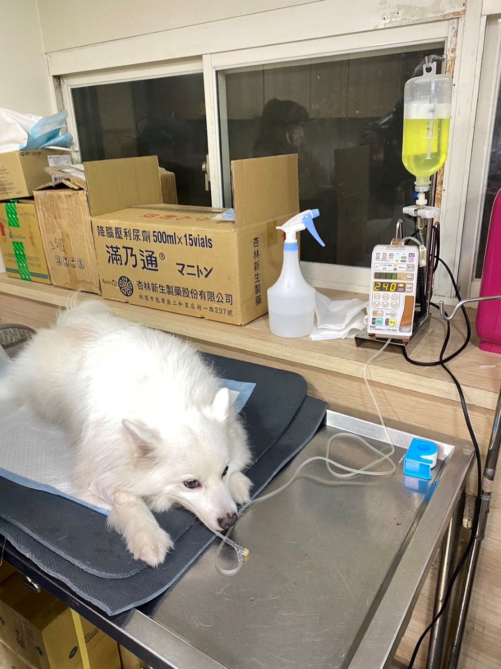 遛狗遇犬隻攻擊    三要一不