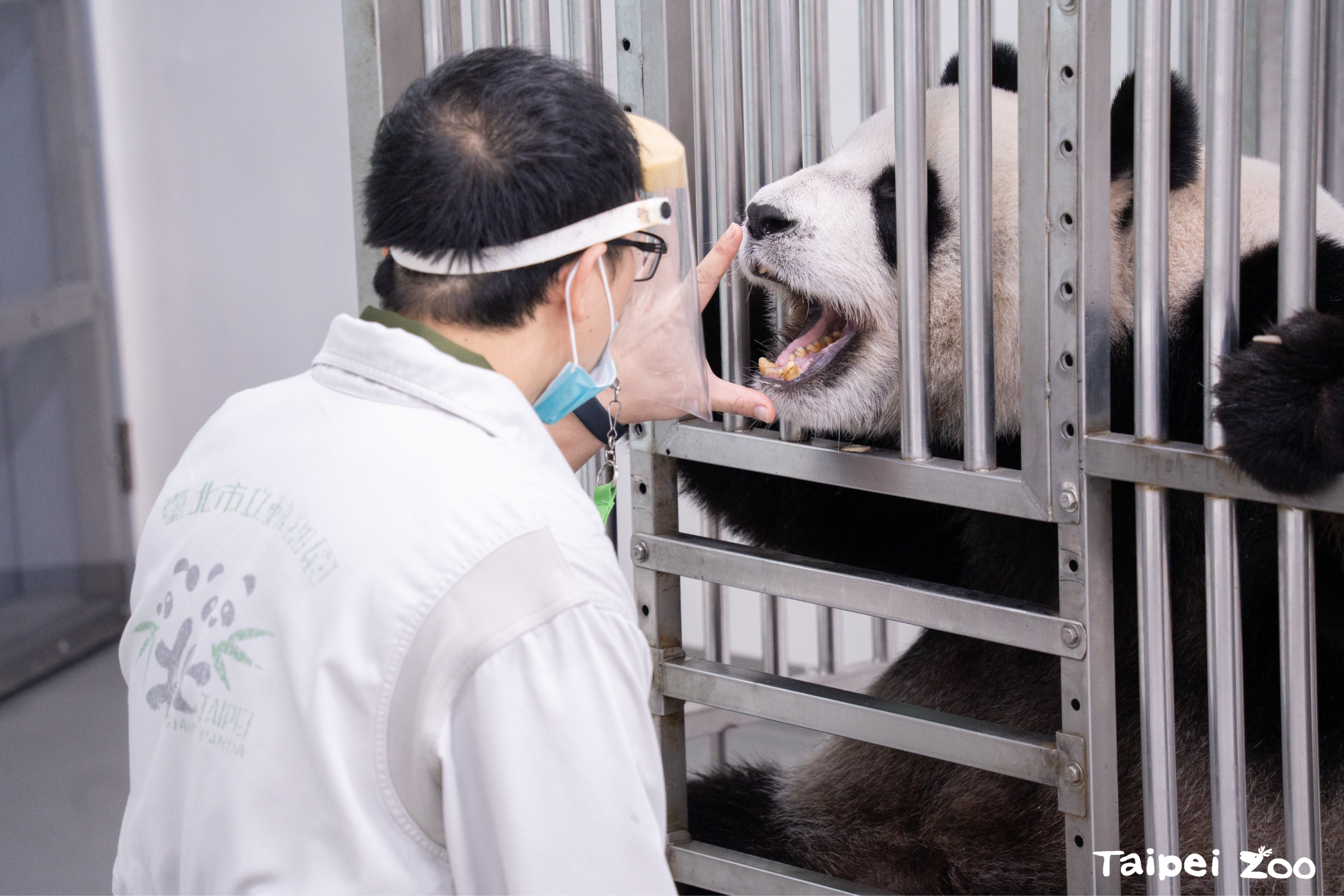 Keepers’ Talk 動物保母講古 解說動物訓練-提升動物福祉強化動物保育教育