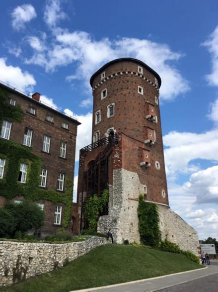 瓦維爾城堡(Wawel Castle)(楊正寬)