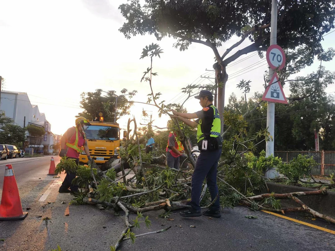 瞬間雷陣雨七尺大樹倒塌阻道路｜警偕石岡清潔隊緊急處置疏導交通