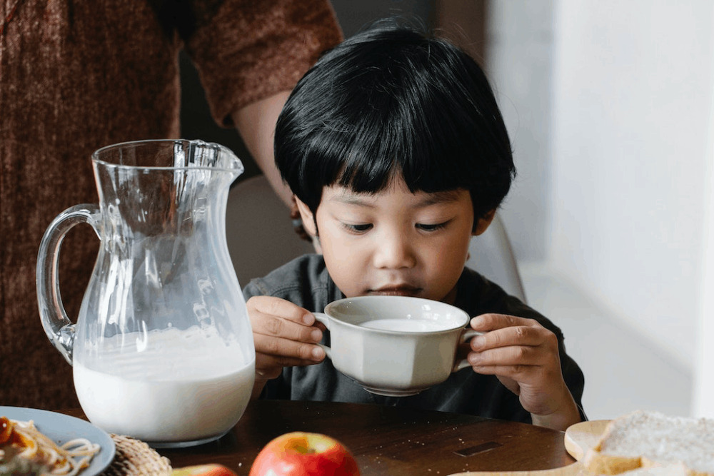 洪申翰憂紐國零關稅鮮乳恐衝擊台乳業 陳建仁允全力助本土酪農 282 洪申翰憂紐國零關稅鮮乳恐衝擊台乳業 陳建仁允全力助本土酪農 281