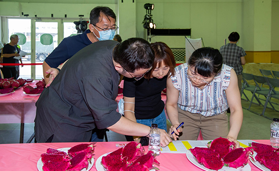 蘭陽紅龍果品質評鑑 他們奪下紅肉冠軍及甜果王