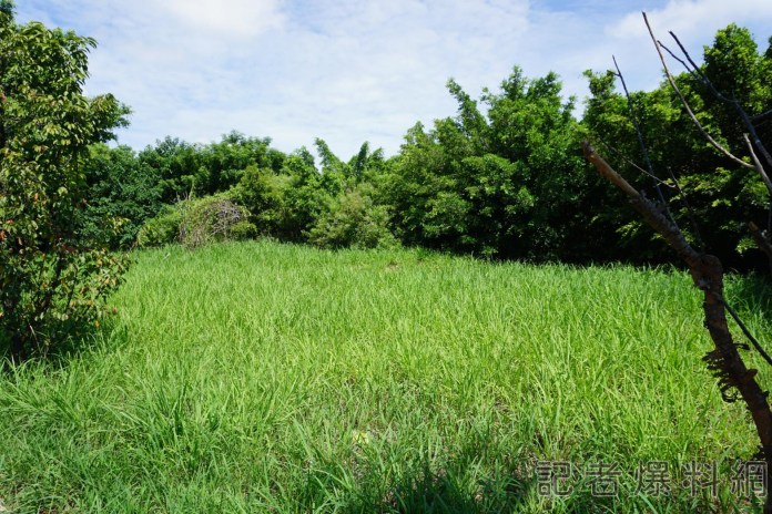 神岡紅土網球場易地興建 民代爭取800萬元經費 62 DSC02529 | 政治 政治 記者爆料網