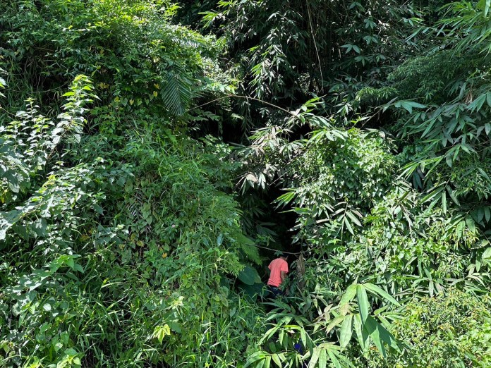 (滑落山坡救援片)苗栗72歲男子滑落山坡 救起送醫不治 60 | 社會 社會 記者爆料網