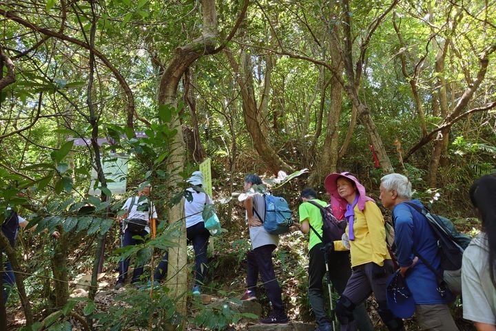 暖東峽谷步道為淡蘭百年山徑中路的起點,民商往來的必經之路,先民踏上淡蘭古道來到暖暖老街交易,有豐富的人文歷史與自然景觀。 圖:新北市政府觀光旅遊局/提供