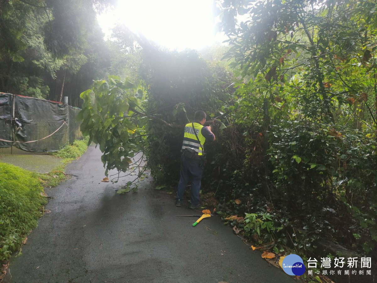 員警以手鋸、鐮刀砍斷倒塌的路樹，經30分鐘的努力，恢復道路通行。