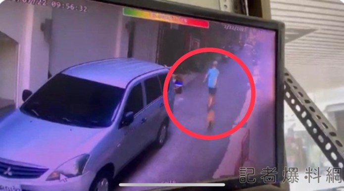 這安什麼心? 惡意放生比特犬 大樓副主委竟這樣說 67 8C179852 BAFF 4836 BAB2 E6DEC40DA3FD | 社會 社會 記者爆料網