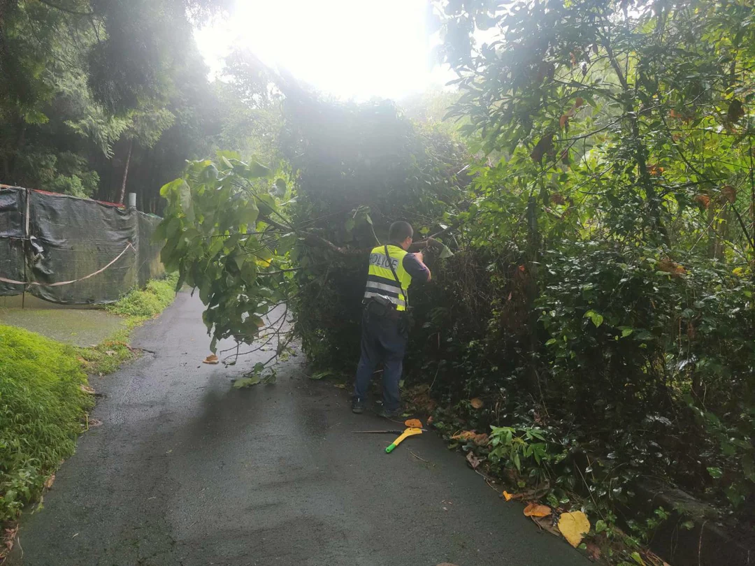 午後雷陣雨樹倒塌阻礙交通｜勇警持鐮刀砍樹排除路況
