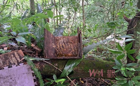 廬山部落蜂農通報黑熊現蹤 生態服務給付化解人熊衝突