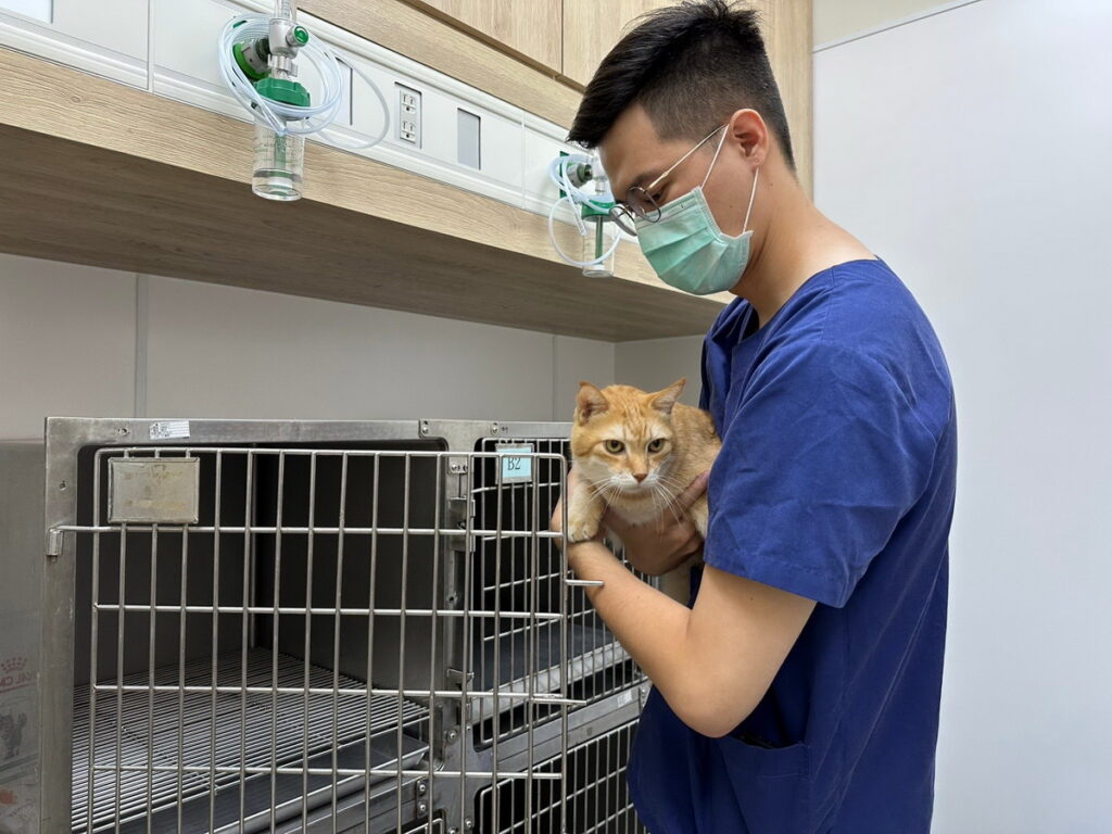 ▲慈愛動物醫院大灣分院有專業獸醫師,守護毛小孩的健康。