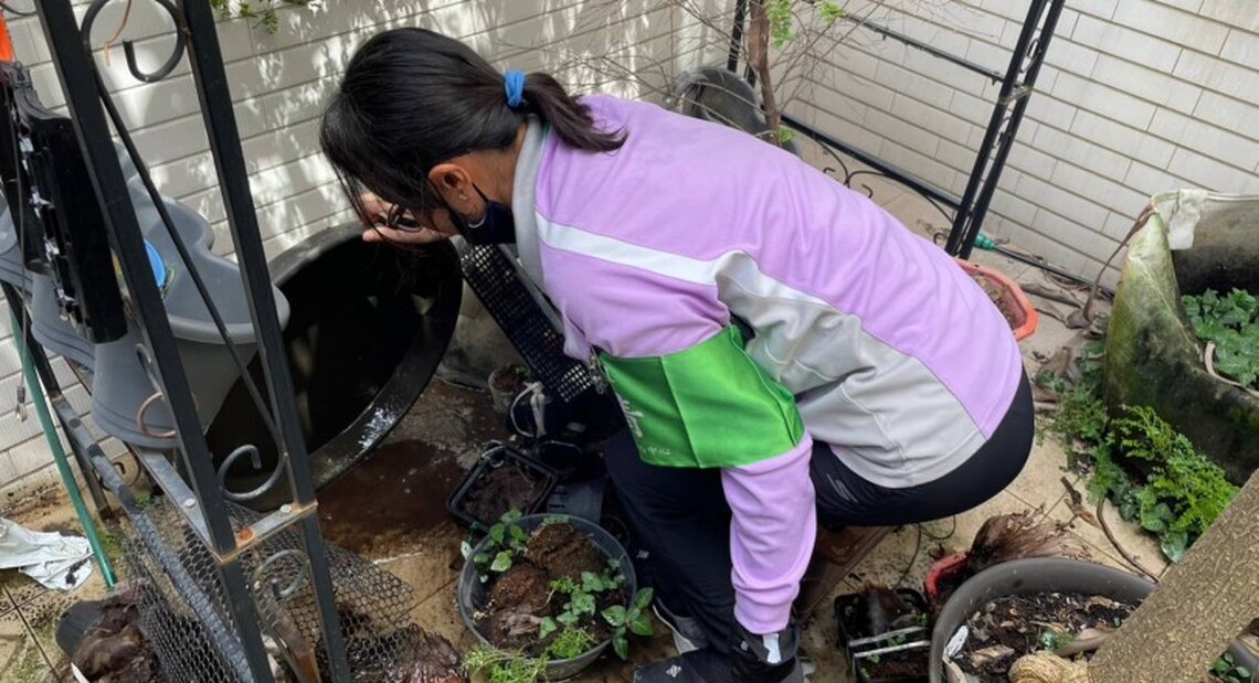 台南登革熱出現首例死亡