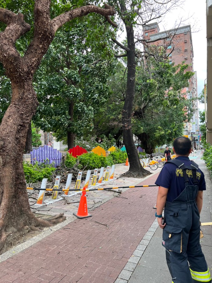杜蘇芮強風釀禍! 板橋女行人慘遭傾倒路樹砸傷肩頸 63 S 35053667 0 | 社會 社會 記者爆料網