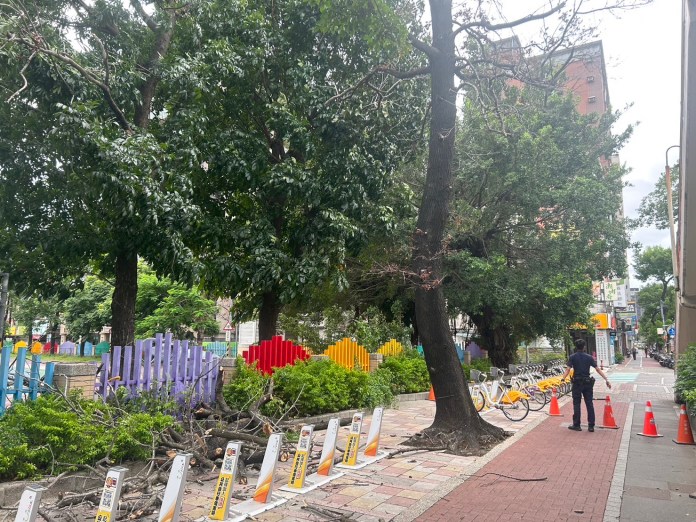 快訊/杜蘇芮強風吹斷路樹 板橋女遭斷枝砸傷 61 411 22 | 社會 社會 記者爆料網