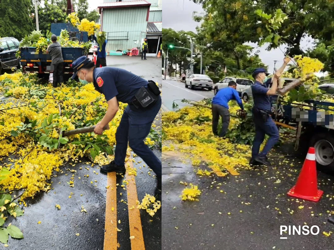 員警化身伐木工｜暖心霧峰分局警搬樹排除路障安民心