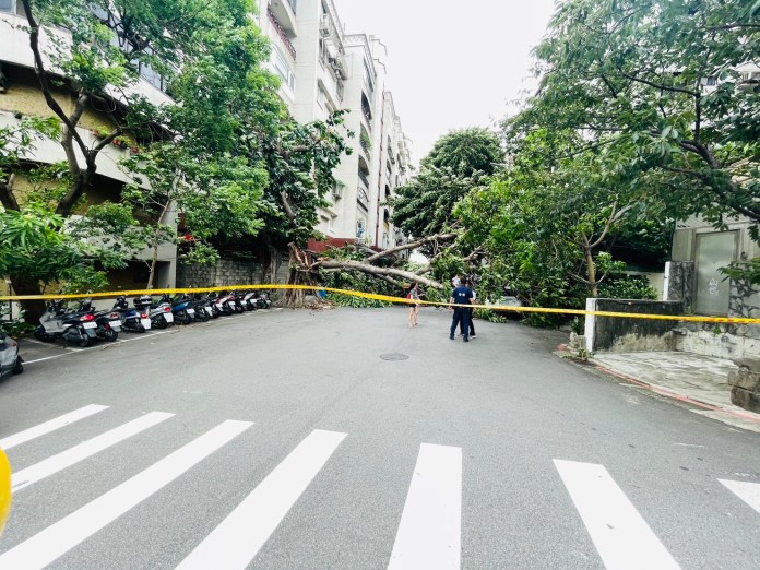 快訊有影/杜蘇芮強風陣風吹襲 士林路樹倒塌橫亙馬路壓到1車 67 411 23 | 社會 社會 記者爆料網