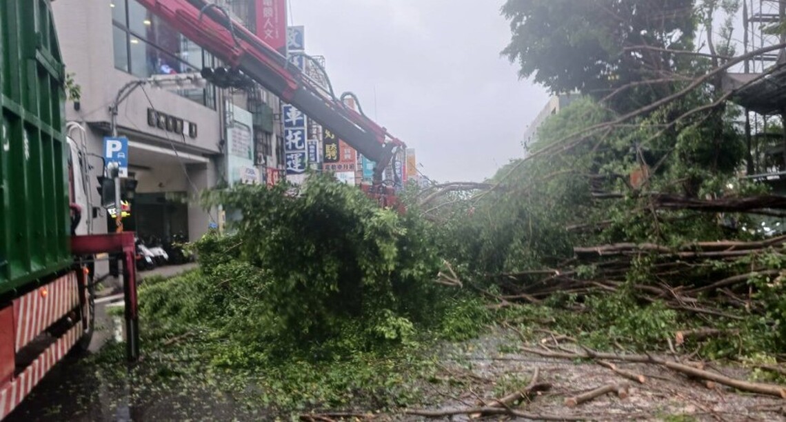 台南颱風倒伏行道樹9百株29日清理完成