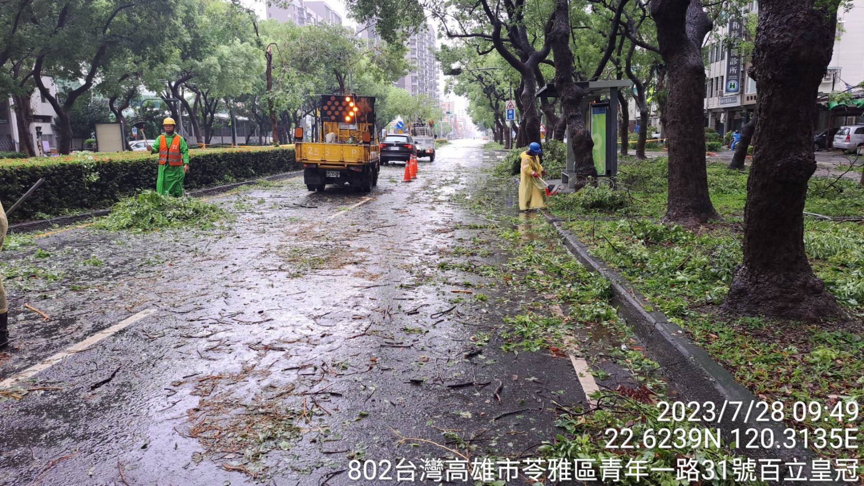 杜蘇芮颱風來襲 高市公園處排除倒塌路樹 恢復交通順暢