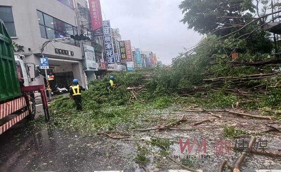 杜蘇芮橫掃台南 路樹招牌倒塌共逾千件