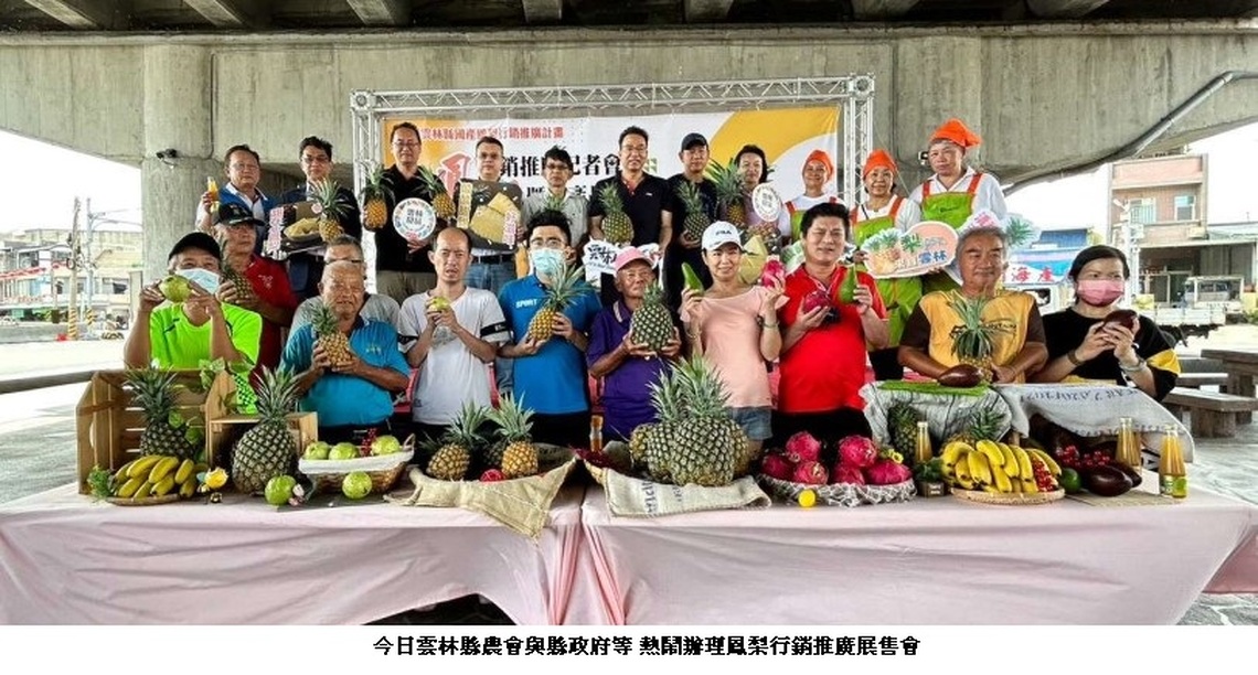 酸甜滋味在口湖•幸福61口湖休息站 手刀搶購最後一波雲林鳳梨沁涼又消暑