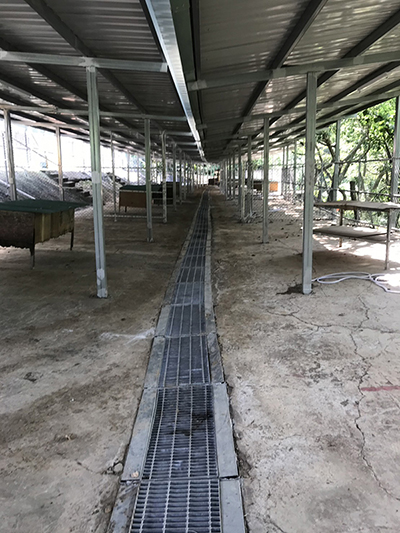 根據瑞平里洪淑芬里長描述，新北市林口區瑞平里2鄰13號的這塊地，是居住板橋的地主租給流浪狗陳醫師使用。
