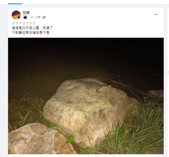 吃飽太閒! po文稱高雄凹子底公園鱷魚出沒 男自導自演下場曝 28 3E078B0A C6AF 4956 AF0D 101248F4196C | 社會 社會 記者爆料網