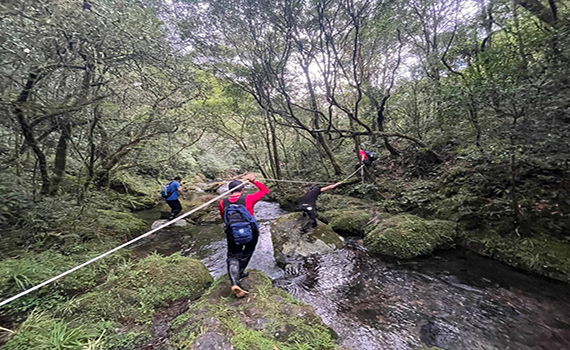 百餘人結伴登山一失聯 消防林務聯手搜救尋獲
