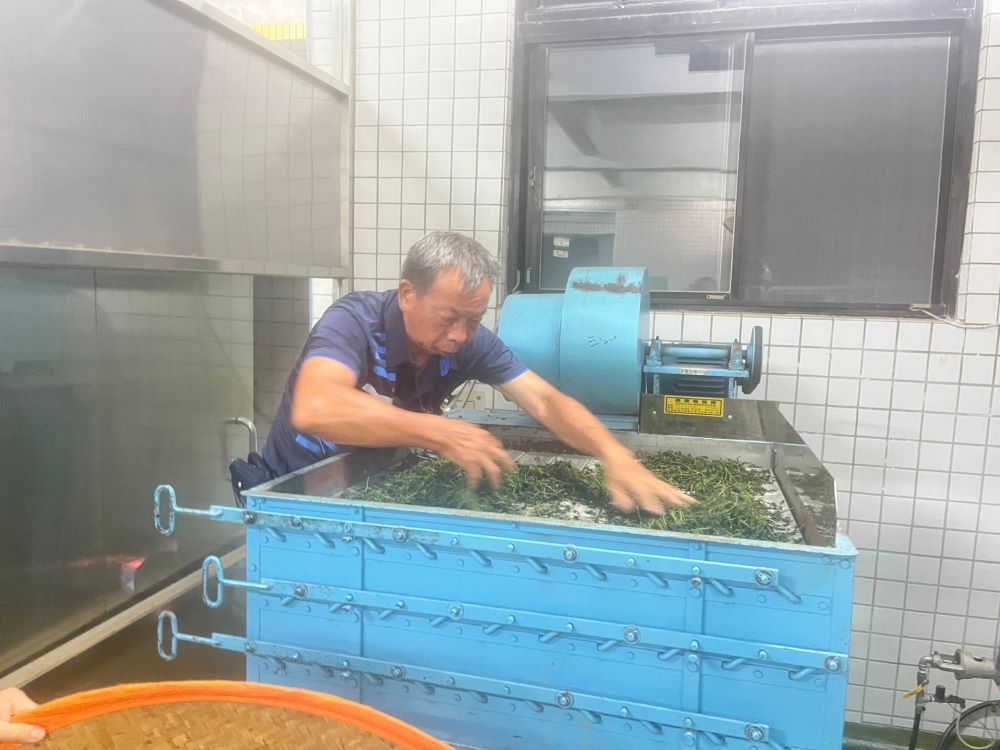 《圖說》茶農專心每個步驟製茶。〈農業局提供〉