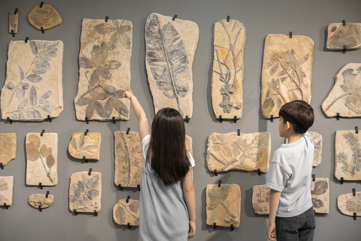 親子同遊桃美館「我用身體畫座島」的科技.遊戲.互動藝術